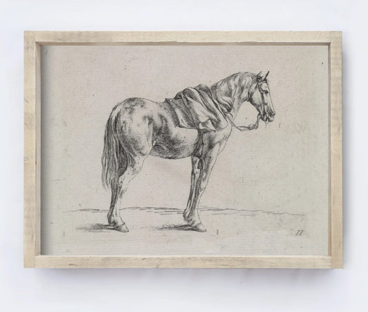 Vintage Horse Wall Art