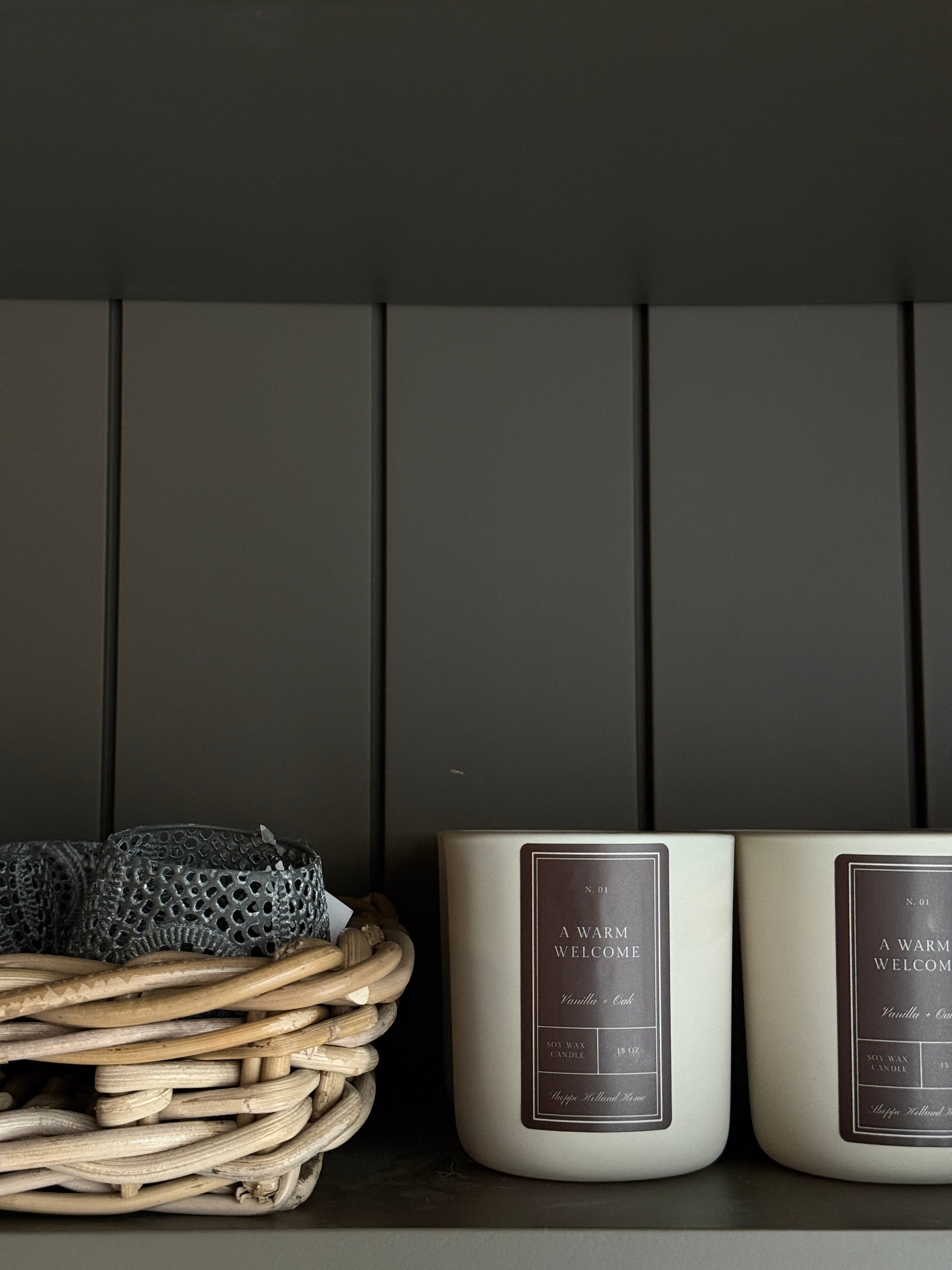Two white outdoor speakers mounted on a dark gray wall with visible brand labels.